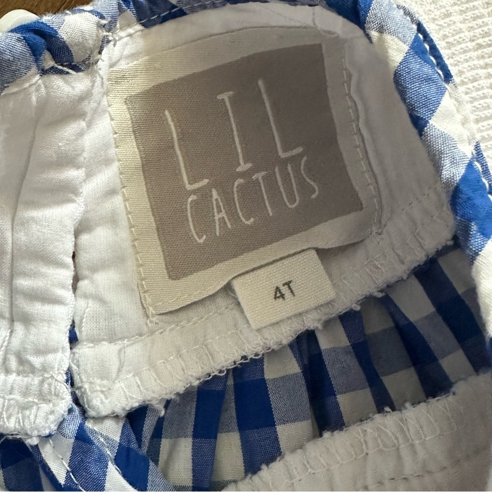Lil Cactus | Girl Blue Check Turkey Smocked Dress | 4T - Picture 5 of 10